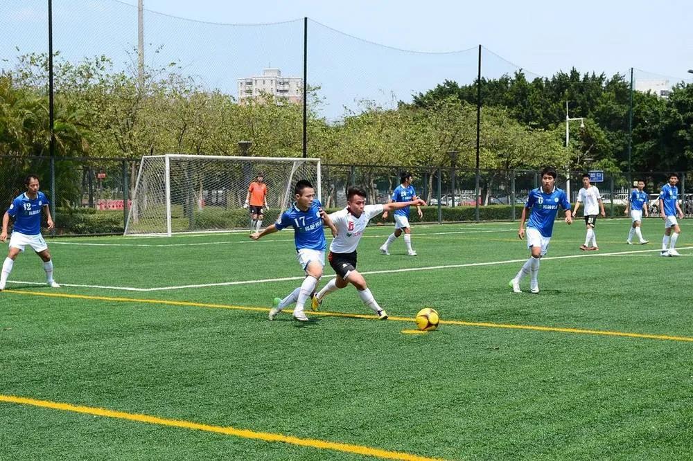 深圳买羽毛球运动装备,深圳买体育用品