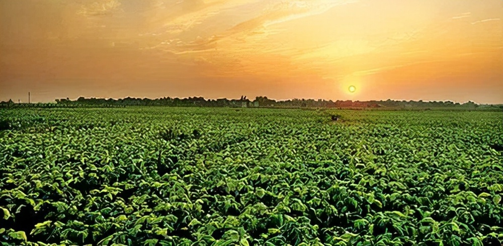 许昌必游,许昌必游景点推荐理由简短