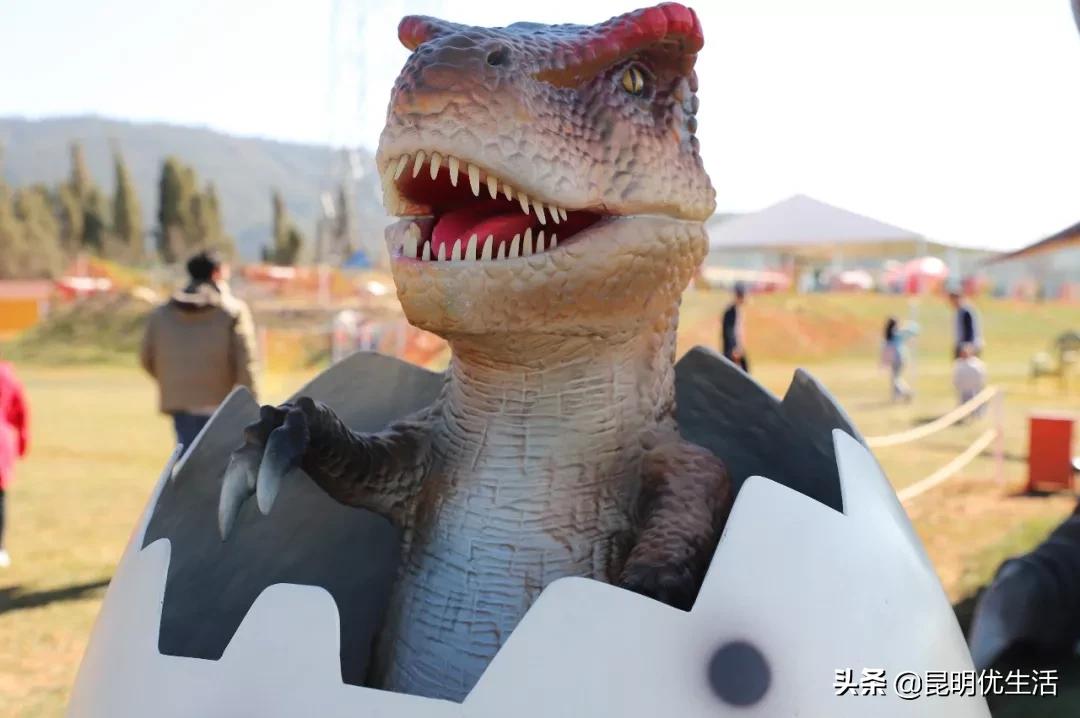 昆明周边亲子游乐场,昆明大型亲子乐园