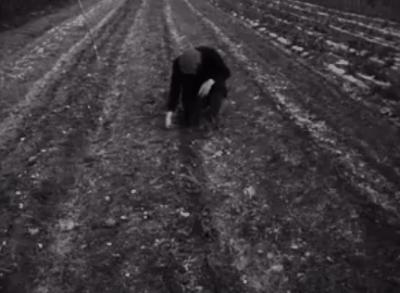 北欧斯堪的纳维亚航空公司富有争议的独特宣传片揭示旅行的意义