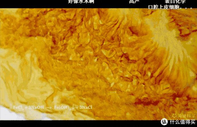 推荐几款好玩的应用,推荐10个实用软件