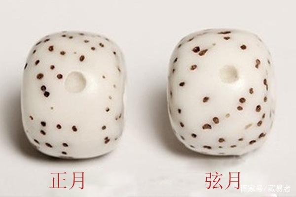 菩提星月盘出来值钱吗,星月菩提手串真假辨别图片