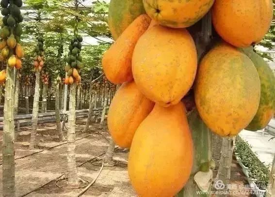 福建长汀最好玩的地方在哪里,福建长汀最好玩的地方在哪里呀