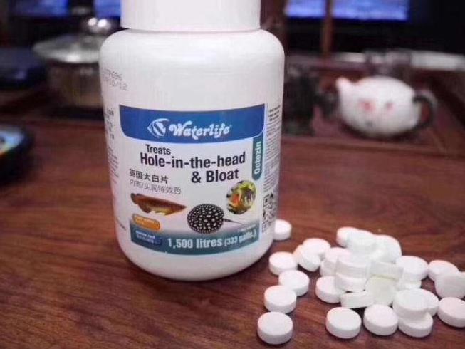 鱼药基础知识,养鱼人的疑难杂症