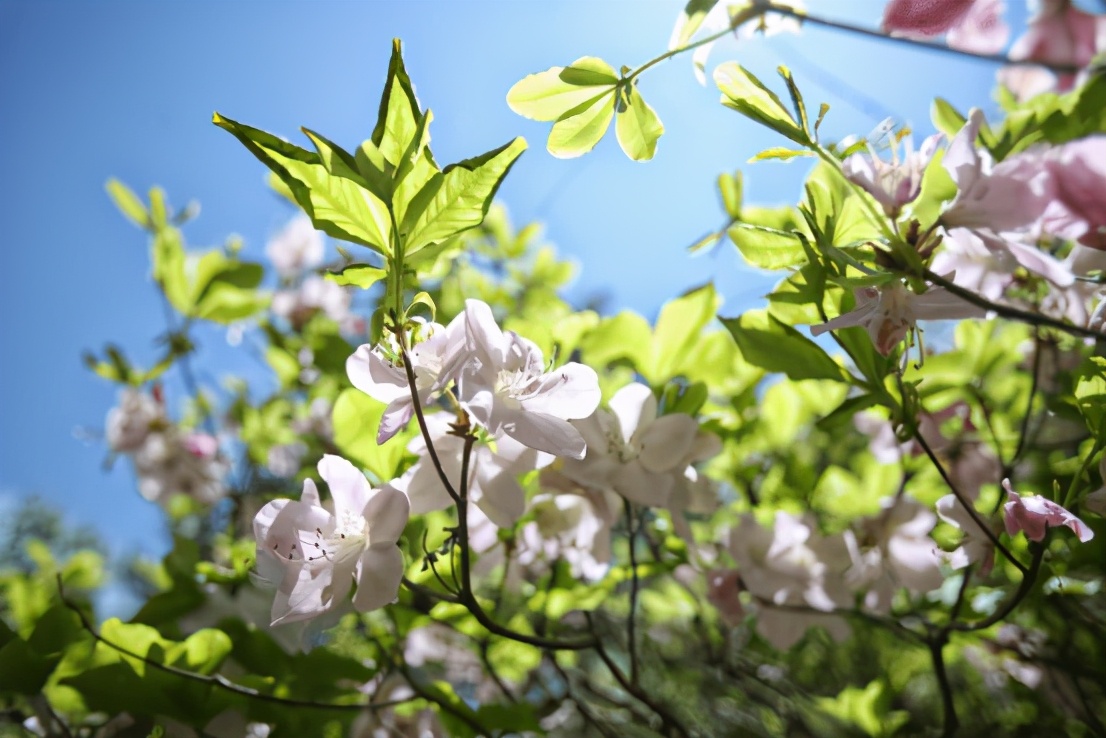 百年老城大美营口,海上视角看美丽的营口