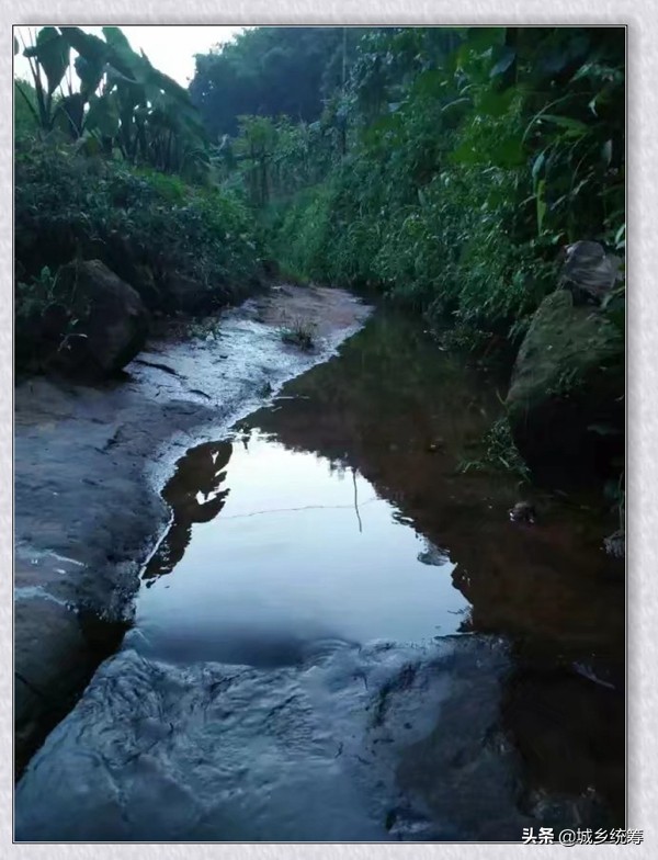江津区中山镇石天井兄弟农家乐休闲避暑好去处
