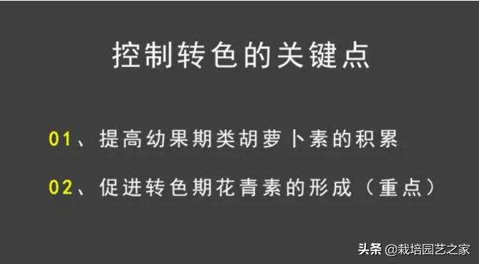 葡萄上色哪种最好,葡萄需要上色的有哪些品种
