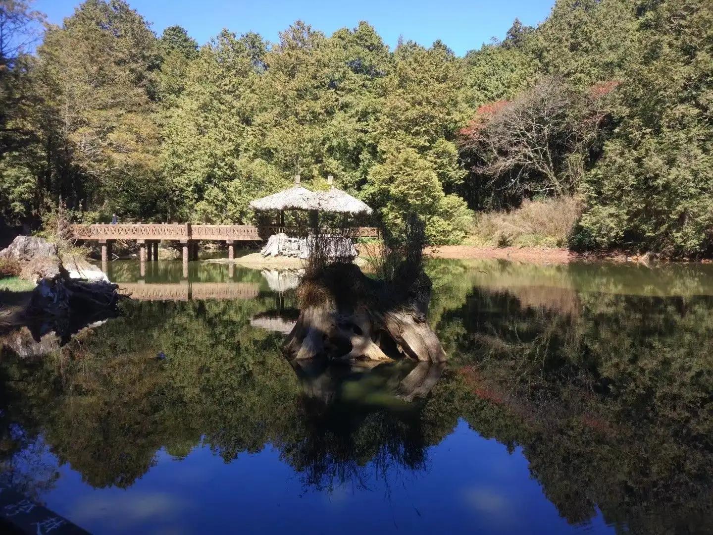 徐州醉美阿里山,醉美阿里山和金帝豪