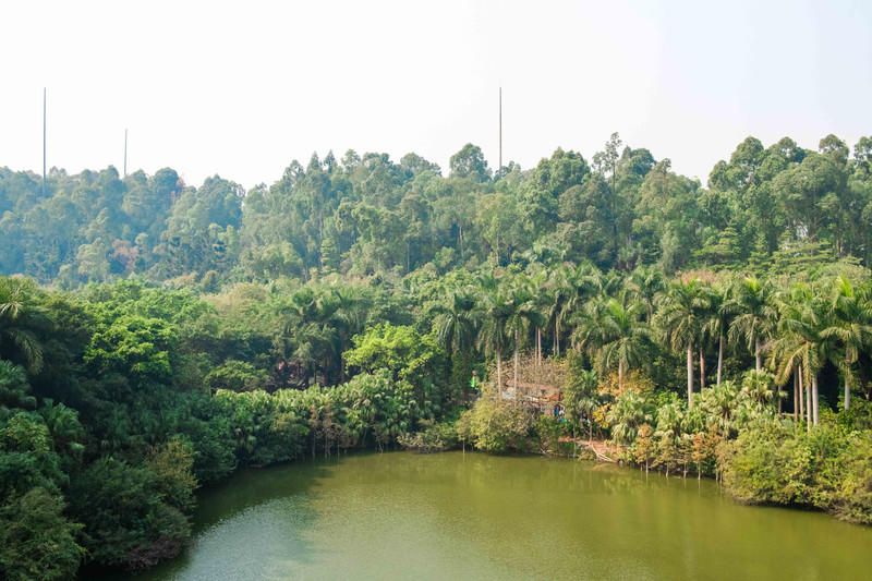 广州长隆野生动物世界的游玩攻略,广州长隆野生动物世界一日游回顾