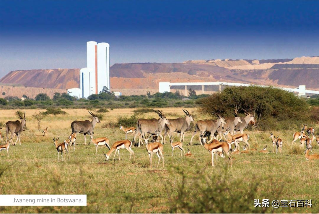 变局|GIA、HRD、IGI更新培育钻石分级体系,人工培育钻石潮流将至