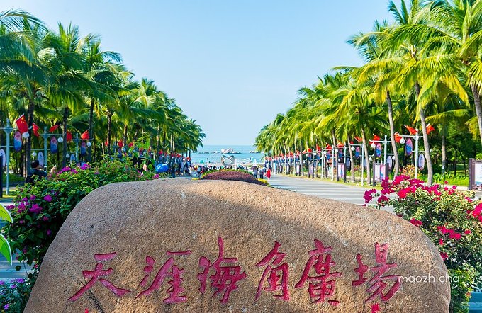 短途游|最适合一月出行的3大城市,附超详细线路推荐