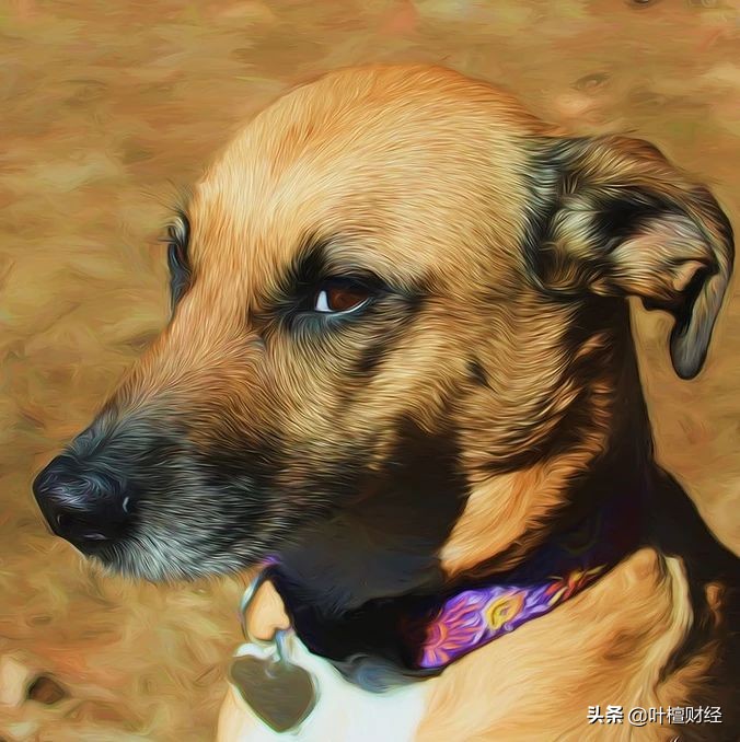 定投指数基金的技巧与方法,目前定投选择什么指数基金好