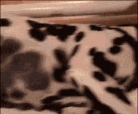 4个半月宝宝吃母乳会咬乳头,6个月宝宝喝母乳咬乳头怎么办