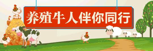 养鱼基本常识及效益,生态养鱼如何赚钱快些呢