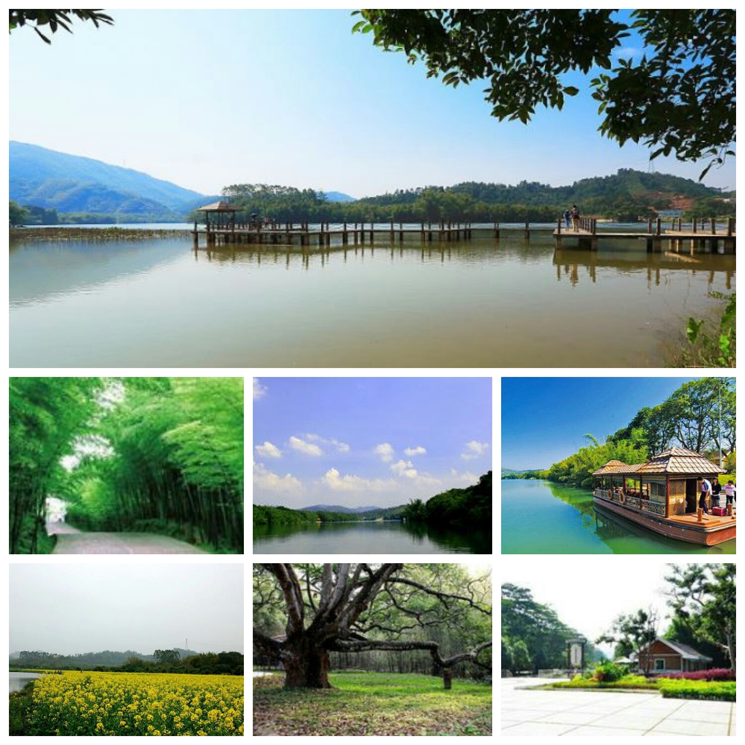 广州增城十大网红打卡地一日游 (增城必去的网红打卡景点)