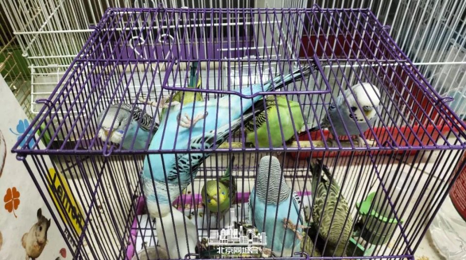 不去后悔去了更加后悔的景点,不去后悔去的景点