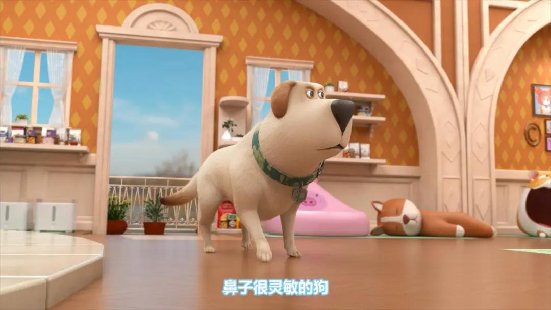 飞狗moco之小柯基的脑洞时刻,飞狗moco和他的小伙伴们