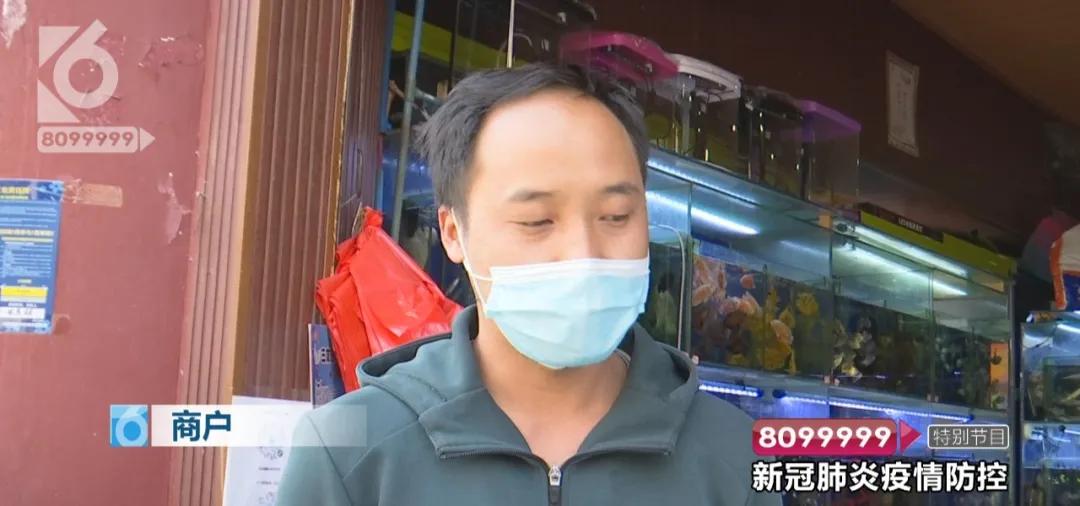 现在的花鸟市场还能卖吗,花鸟市场能买到吗