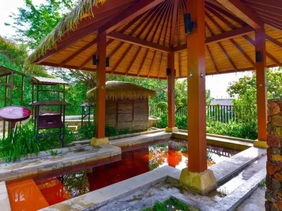 广东省内海拔最高的5星温泉金叶子，高山温泉+房间温泉一并拥有