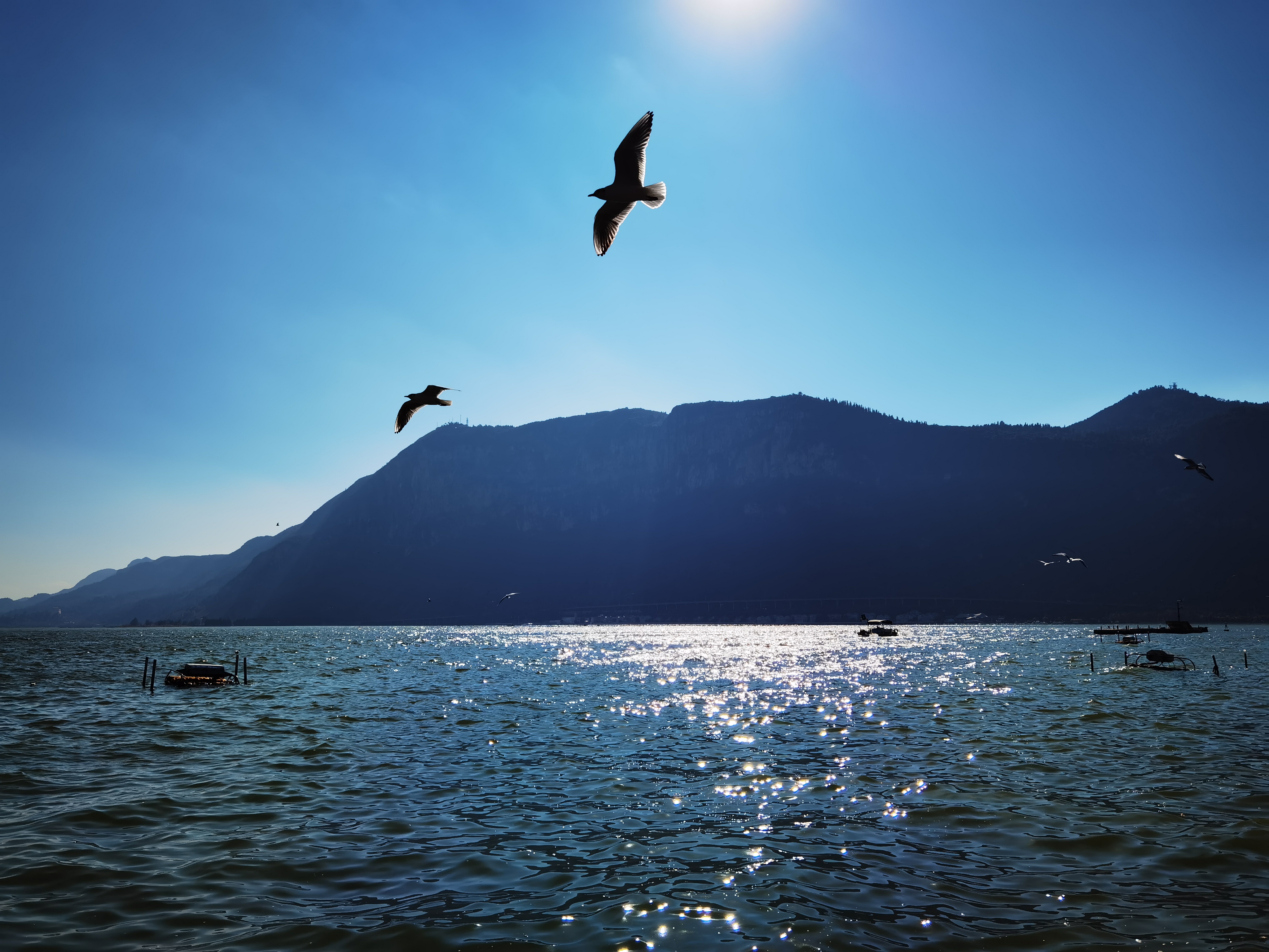 昆明真实的五一度假攻略图片,昆明游玩景点夜景图片真实