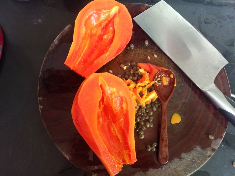 秋季木瓜怎么煲汤,秋天木瓜煲汤的做法大全