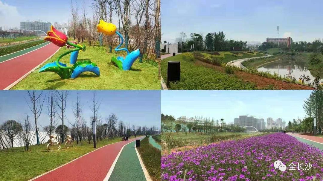 长沙的房价真的十年没涨么,长沙房地产政策最新消息