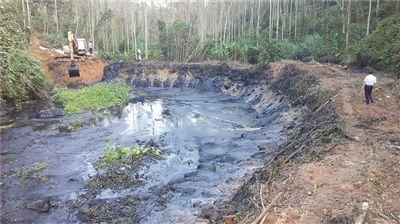 畜禽粪便无害化处理和资源化利用,禽畜粪便无害化处理可行性报告