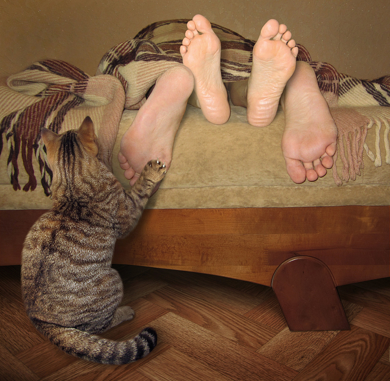 男子尿道口红肿流脓,男子尿道口流脓怎么回事啊