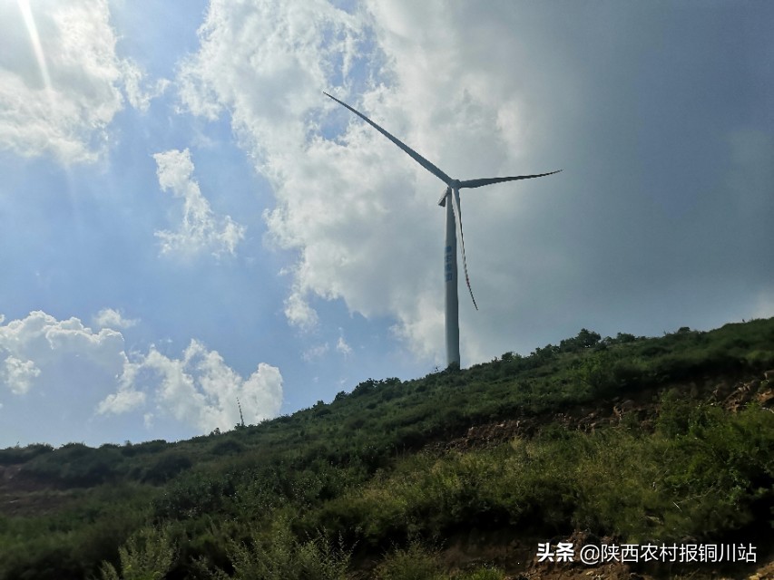 陈百强一生一共唱了多少首歌,朱百强个人资料