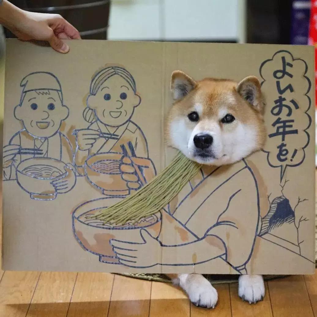 柴犬阶级意识,柴犬成为了门面担当