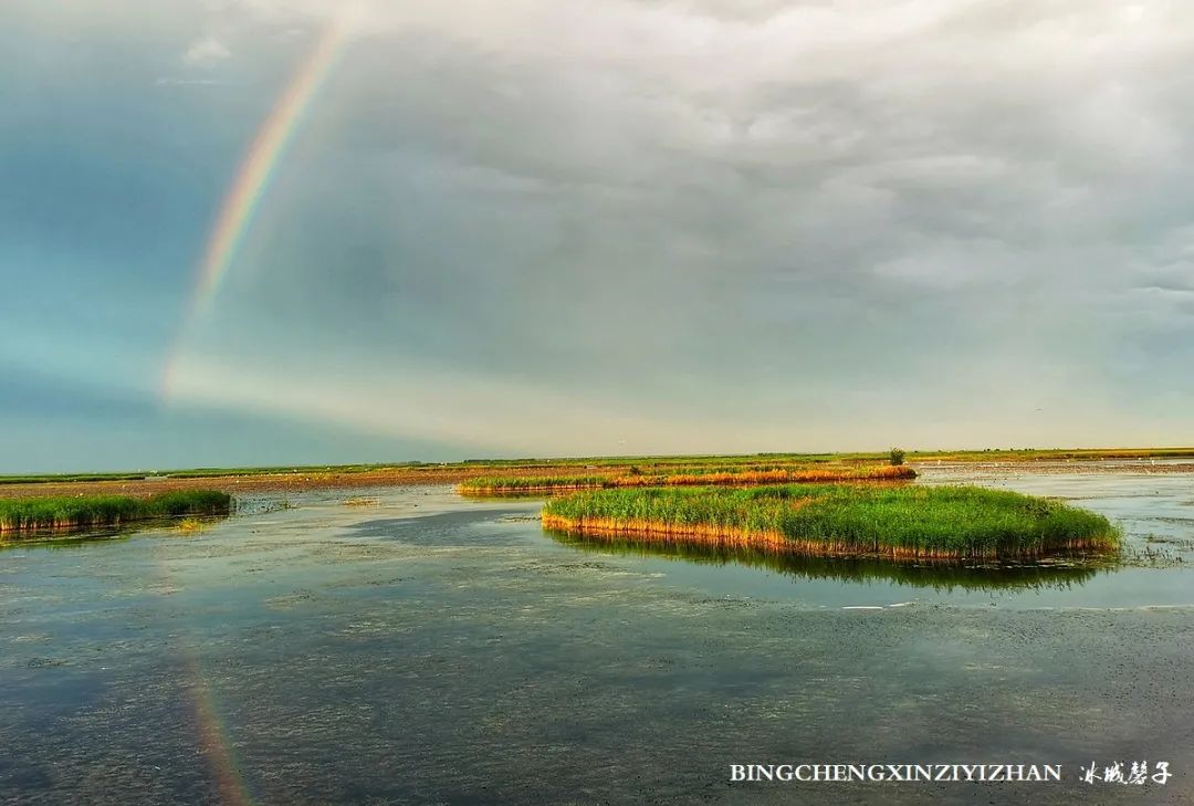 再返富锦，为着那份飘着稻花香的“湿”意约定
