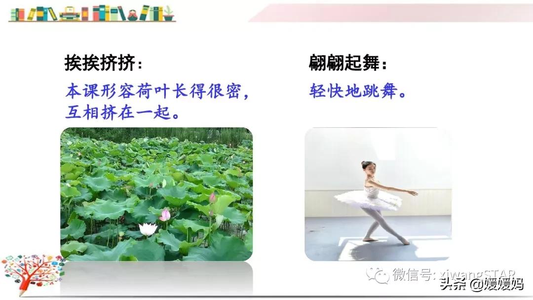 三年级下册荷花ppt课件部编版,三年级下册语文第三课荷花小练笔