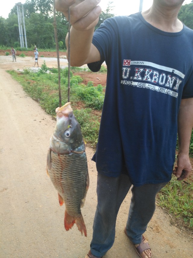 在缅甸建厂需要注意什么