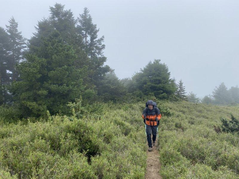 哥伦比亚冲锋衣测评可以上雪山吗,哥伦比亚冲锋衣绿色拼接