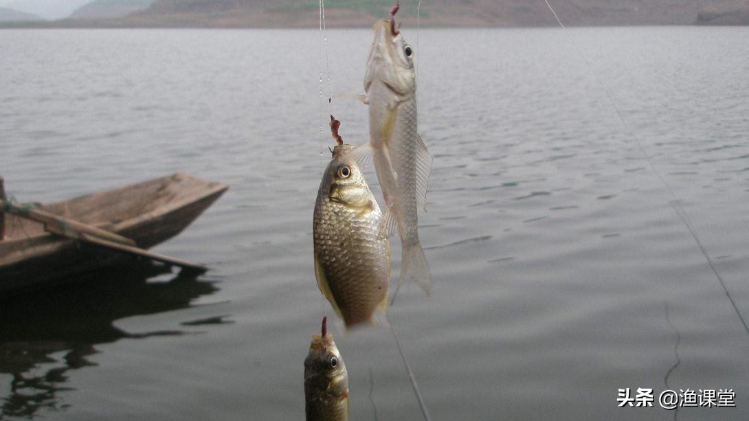 野钓不知道鱼情怎么调漂,野钓浮漂看不清怎么办