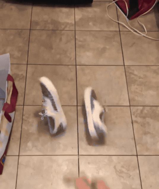 怎么辨别vans鞋真假,如何鉴定vans鞋