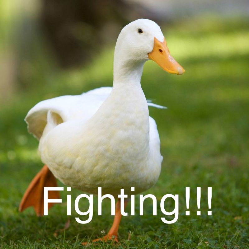 fight是啥意思呀,fighting到底什么意思