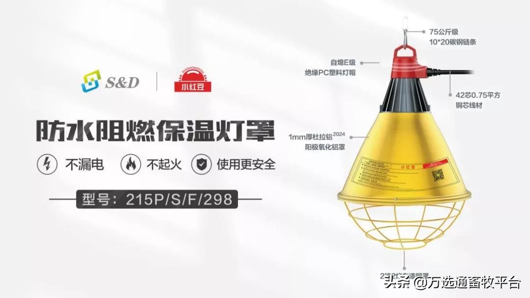 温暖相约“小红豆”,助力猪场新发展