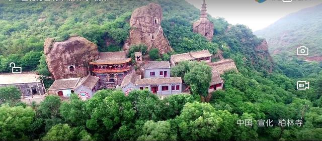 柏作为姓氏的时候该读什么,柏作为姓氏应该怎么念