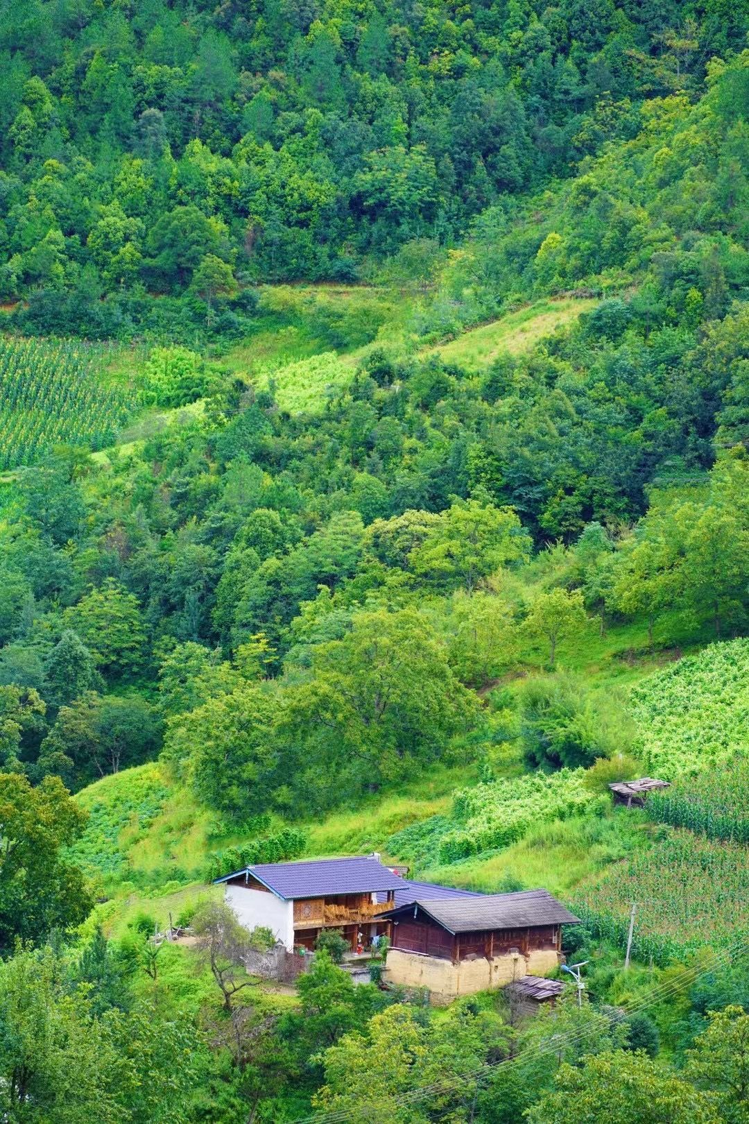 “乡”约丽江塔城，这里有你向往的田园生活