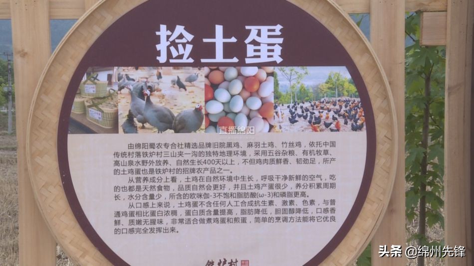 新闻宣传报道助推乡村振兴,新闻媒体助力乡村振兴