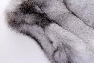 为什么皮草越来越少了,便宜的皮草和贵的皮草区别在哪里