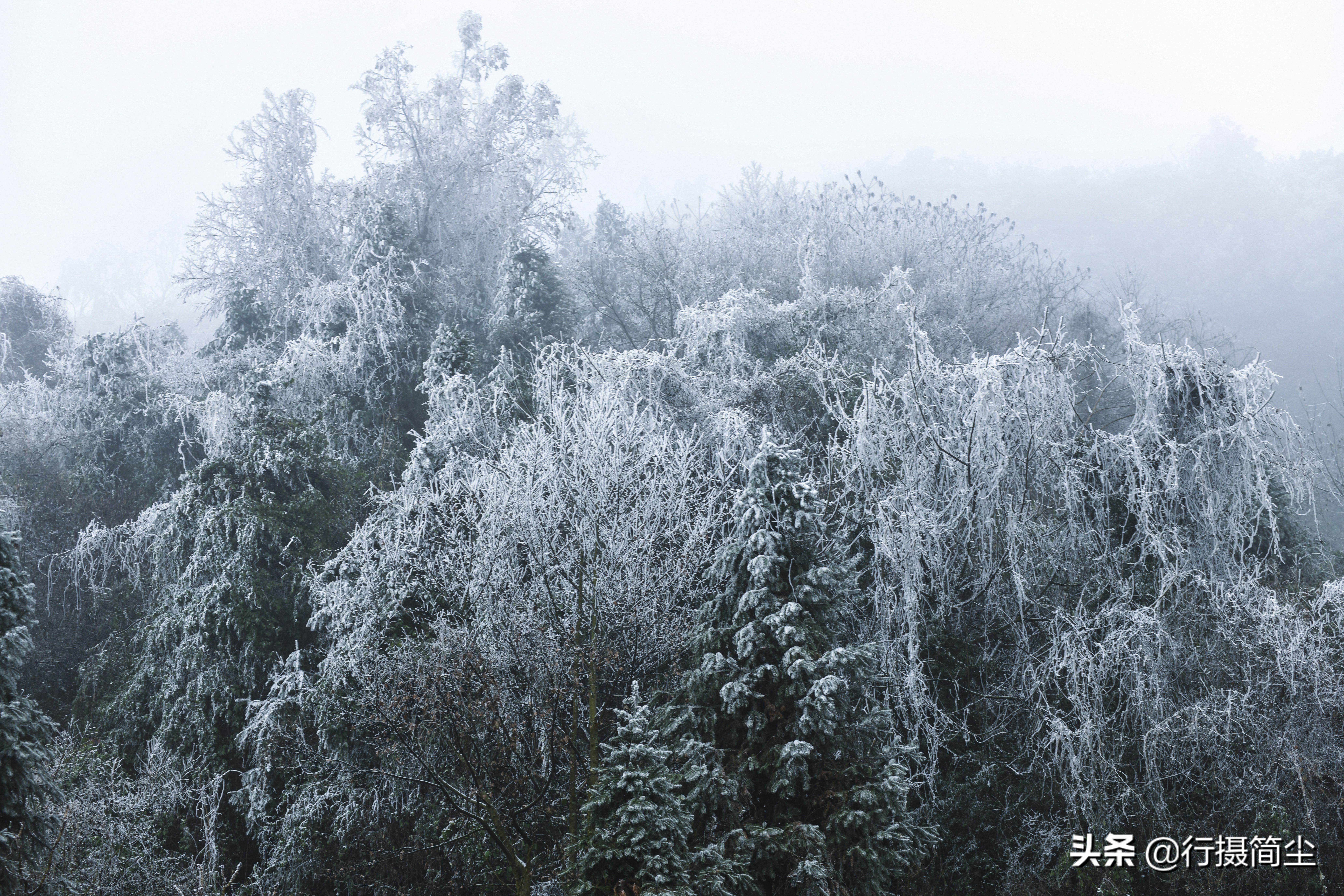 华蓥山宝鼎雪景航拍,华蓥山宝鼎冬天看日出