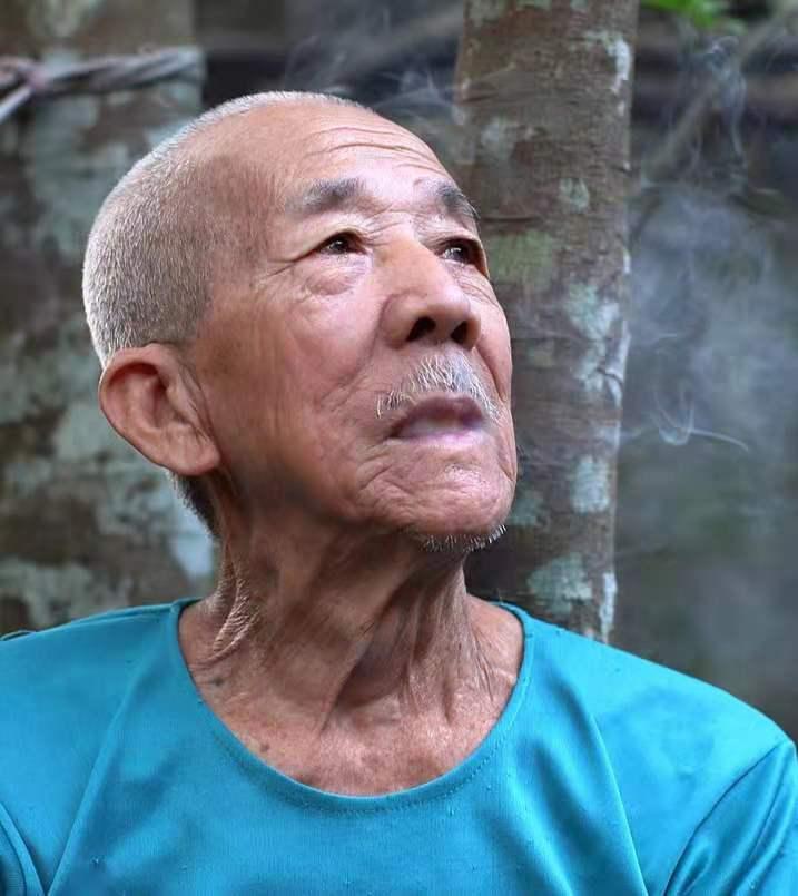 花盆养花技巧图解教程,花盆养花小技巧大揭秘