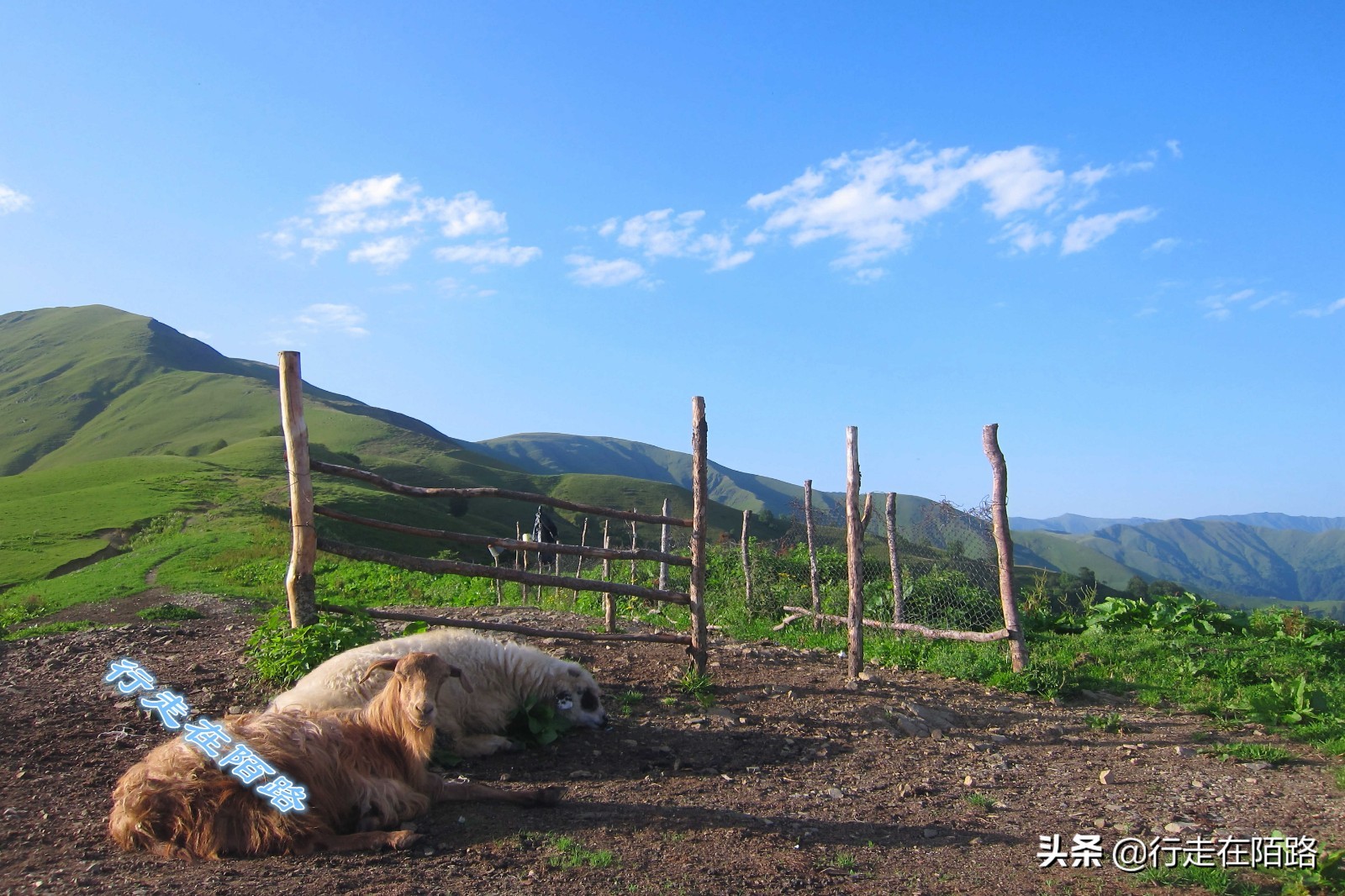 车臣战后重建20年,车臣战争战后奖励