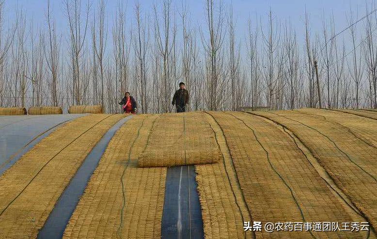 大棚提温最快方法,大棚提温