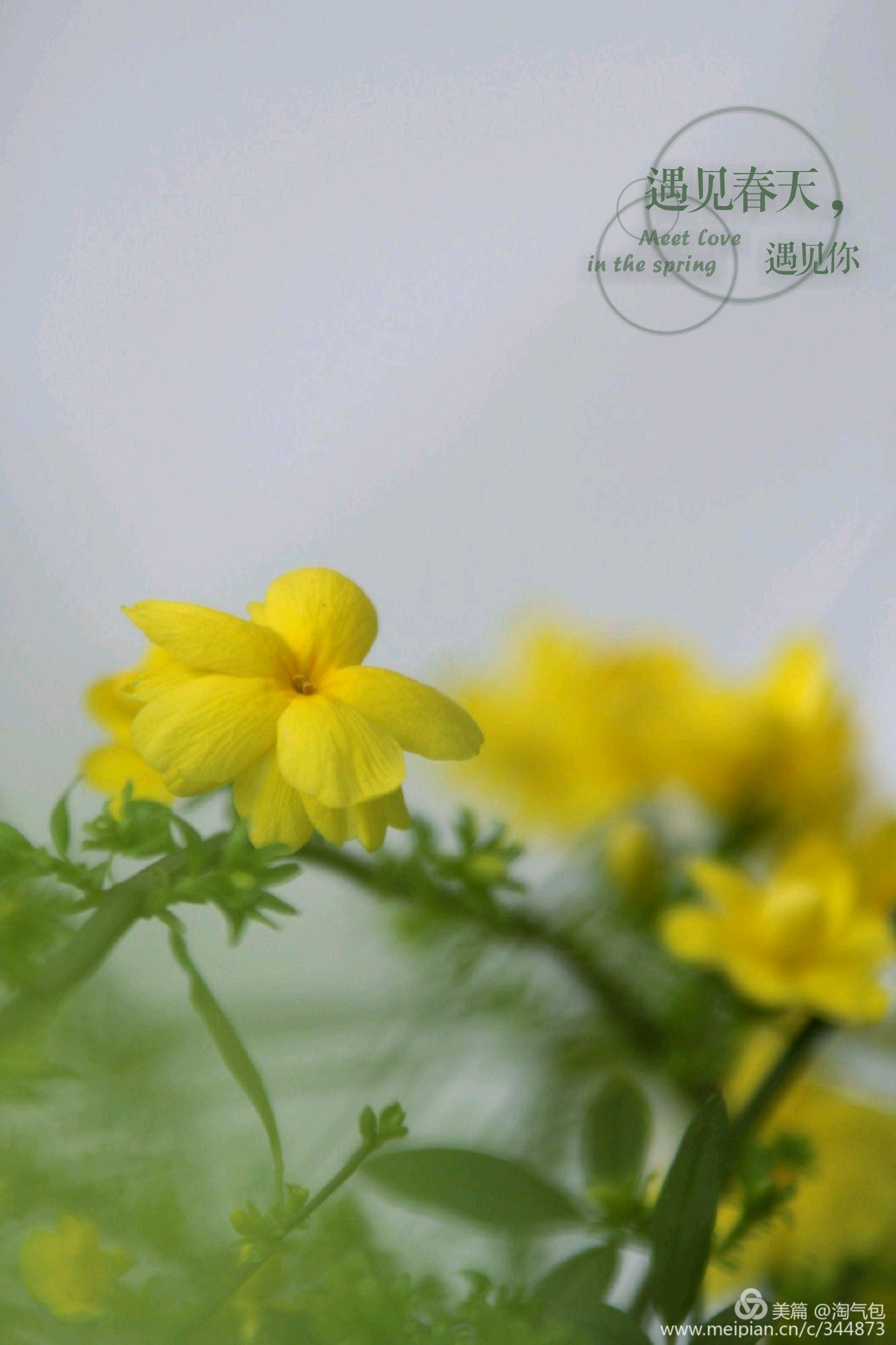 高情商的人如何解决心理难题,放下烦恼和焦虑让心回归平和