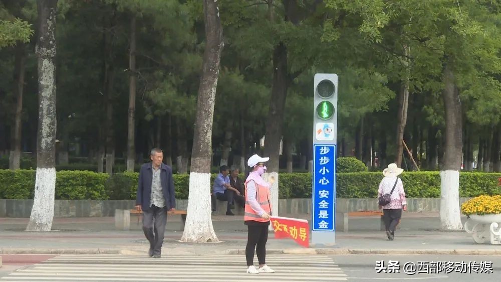 文明实践为澄江创文添彩助力,关于交通安全标识规范宣传的建议