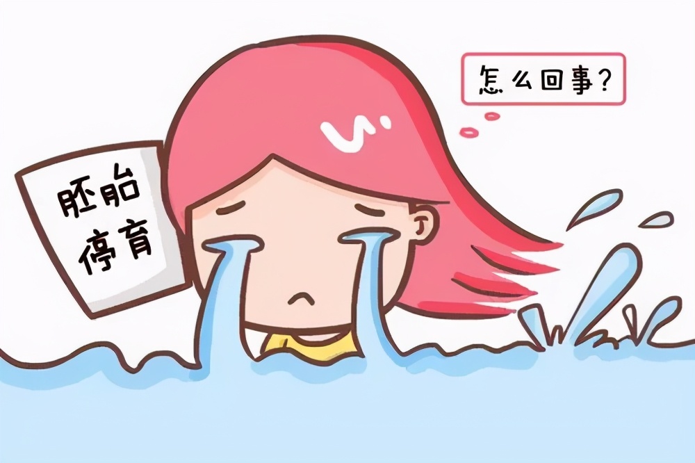 胎停育有没有可能与男的有关,胎停育是男的不育症吗