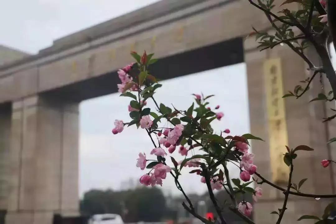 南京财经大学红山学院长什么样,南京财经大学红山学院院系数量